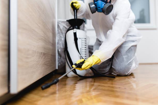  Schaumburg, IL Pest Control Pros