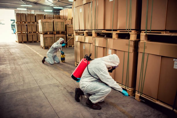 Professional Pest Control in Schaumburg, IL