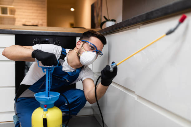 Best Emergency Pest Control  in Schaumburg, IL