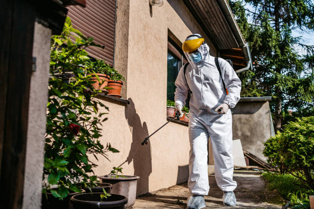 Best Cockroach Control Services  in Schaumburg, IL