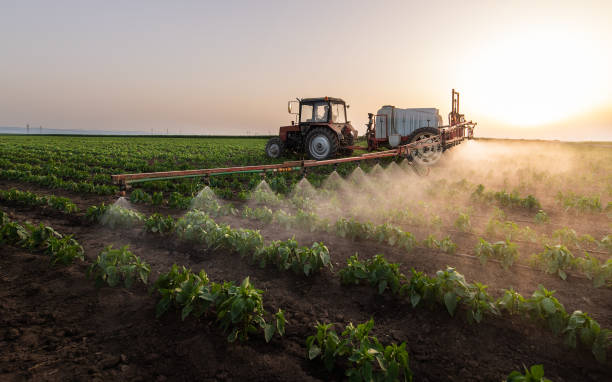 Best Commercial Pest Control Services  in Schaumburg, IL