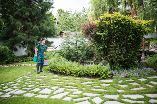 Best Wildlife Control Services  in Schaumburg, IL