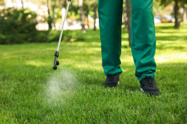 Best Affordable Pest Control Services  in Schaumburg, IL