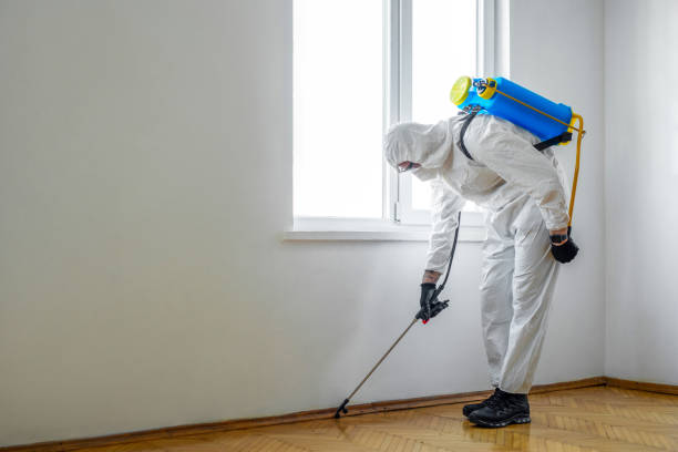 Best Affordable Pest Control Services  in Schaumburg, IL