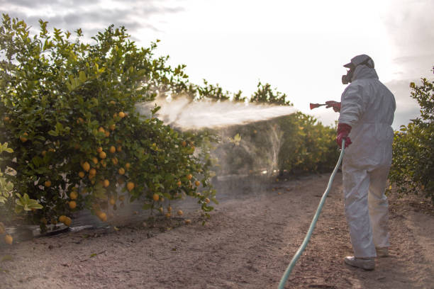 Best Best Pest Control Companies  in Schaumburg, IL