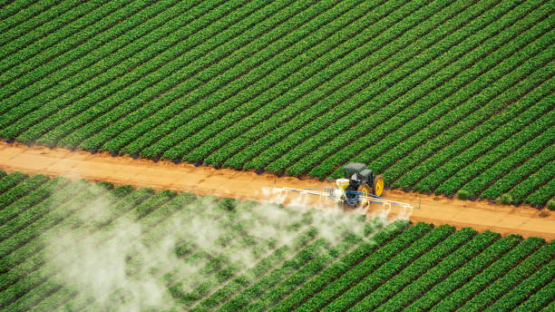 Best Commercial Pest Control Services  in Schaumburg, IL