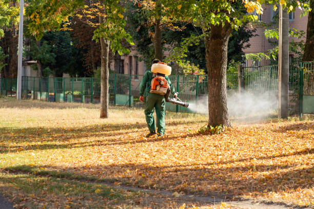 Best Insect Control  in Schaumburg, IL