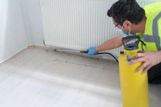 Best Pest Removal Services  in Schaumburg, IL